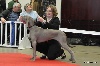  - Paris Dog Show 2012: Harper CACIB BOB, Ema RCAC RCACIB...