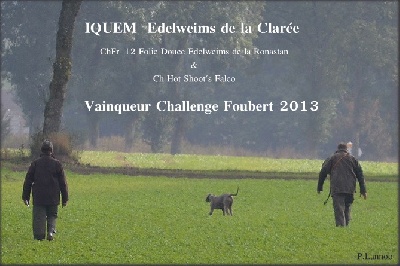 Edelweims de la Clarée - IQUEM vainqueur du challenge Christian Foubert