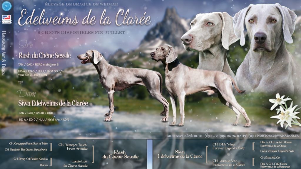 Avis de naissance ! 