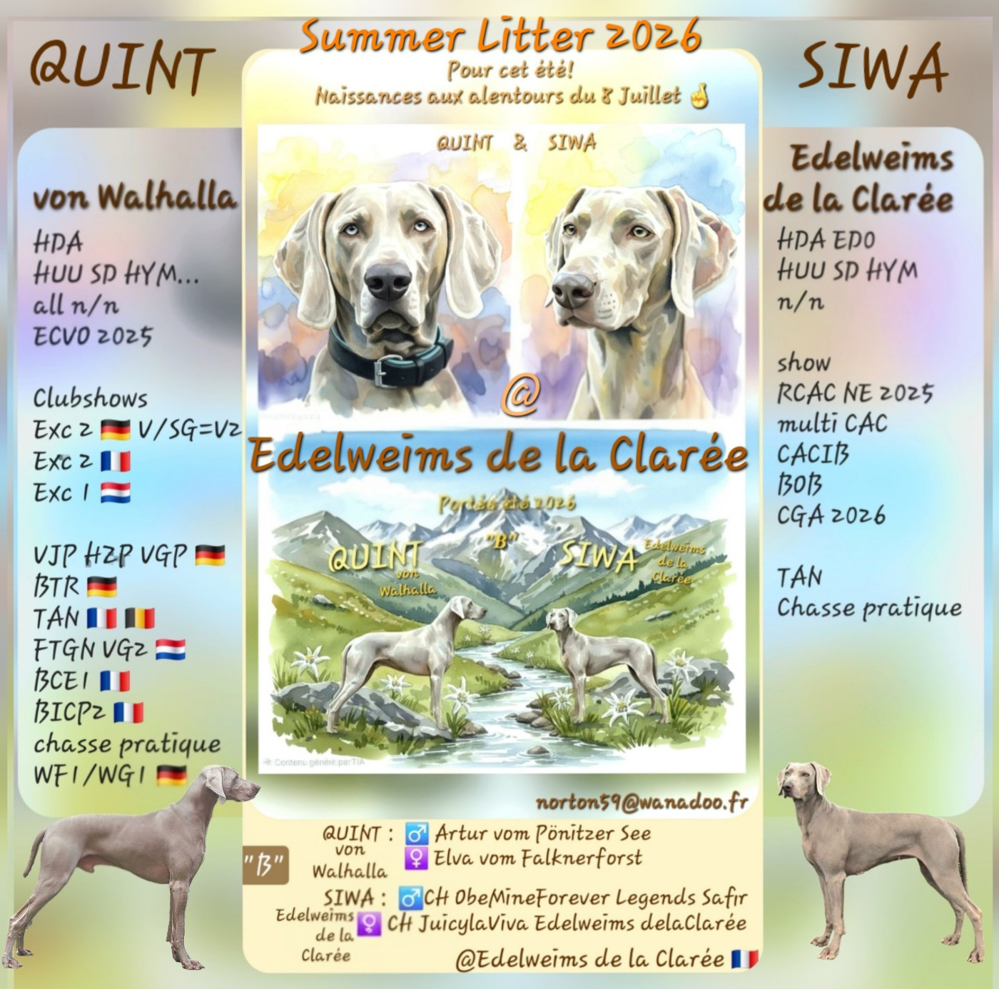 Avis de mariage : QUINT & SIWA Mai 2026